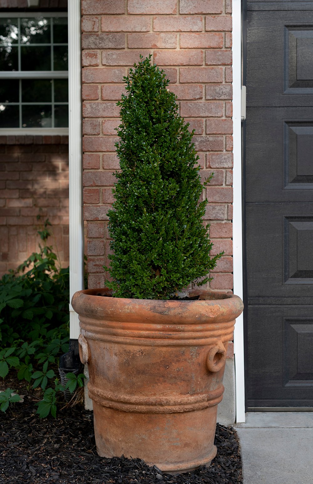 Classic Planters for Every Aesthetic and Budget - roomfortuesday.com