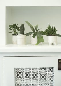 DIY Mini Planters