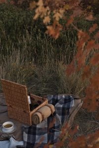 Date Night : Fall Mountain Picnic - roomfortuesday.com