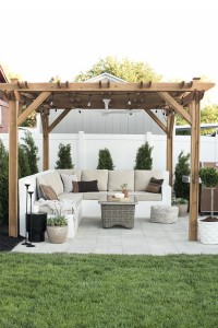 Our Backyard Reveal